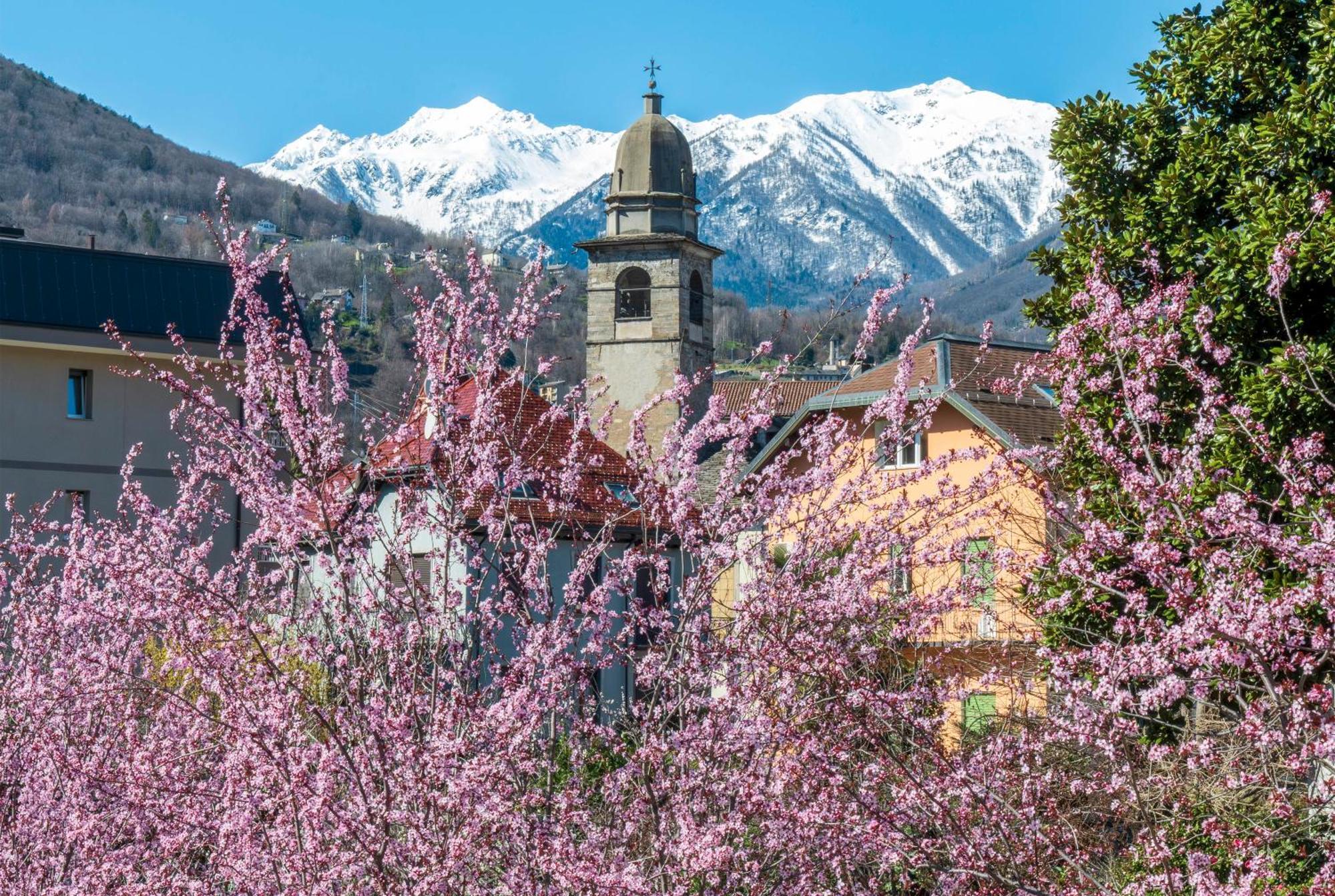 Bed & Breakfast Tiffany Domodossola Exterior foto